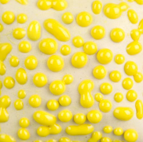 Mayco Stoneware Glaze - SW-441 - Yellow Bead - 1 pint